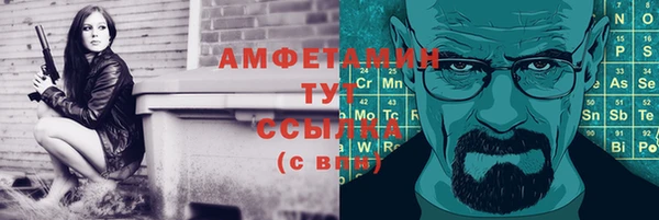 прущие грибы Михайловск