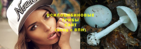 соль ск Михайлов