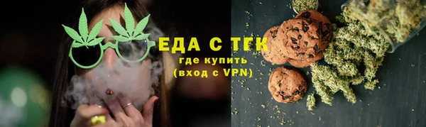 прущие грибы Михайловск
