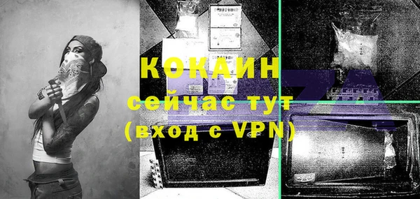 прущие грибы Михайловск