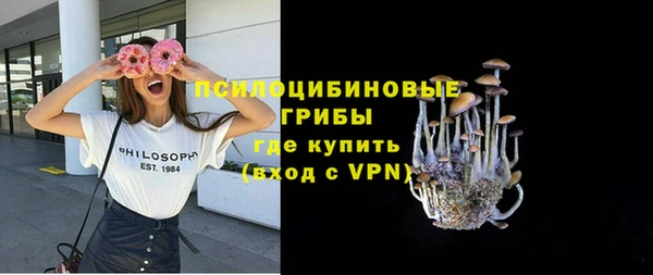 прущие грибы Михайловск