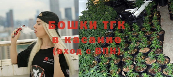 прущие грибы Михайловск