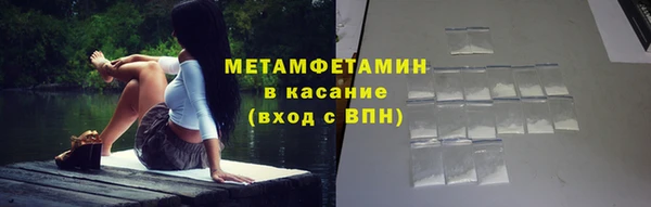 прущие грибы Михайловск