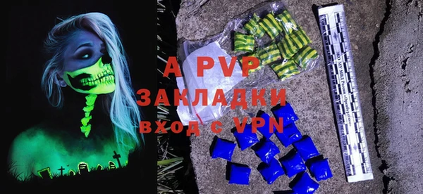 прущие грибы Михайловск