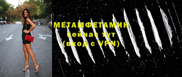 прущие грибы Михайловск