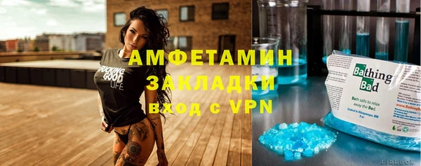 прущие грибы Михайловск